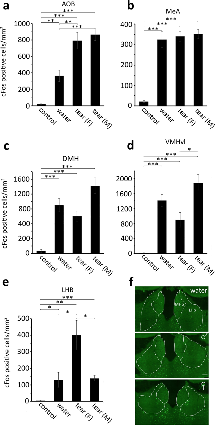 Female mouse tears contain an anti-aggression pheromone