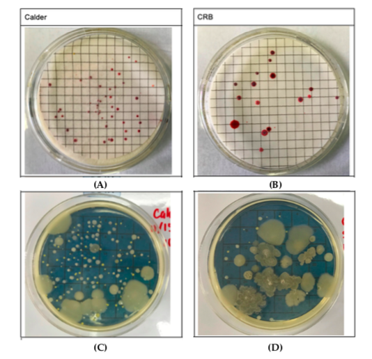 Relationships Between Short-Term Exposure to an Indoor Environment and Dry Eye (DE) Symptoms